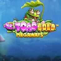 Mr Toad Gold Megaways screenshot
